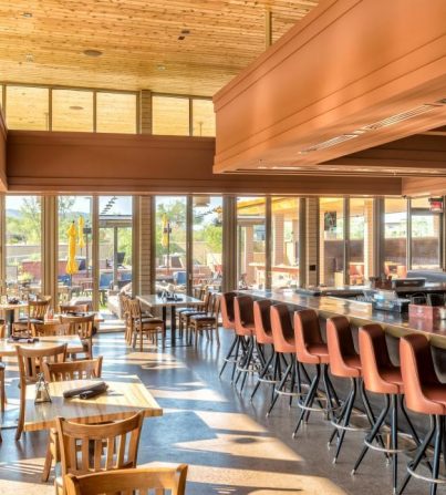 The Vig McDowell Mountain